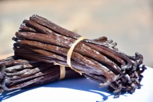 gousse de vanille