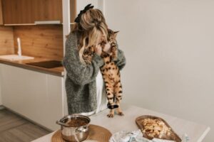meilleures croquettes pour nourrir votre chaton