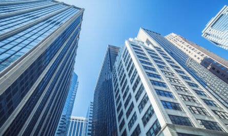 Schéma clair présentant les services et critères de domiciliation entreprise Tunisie pour guider le choix d’une offre adaptée.